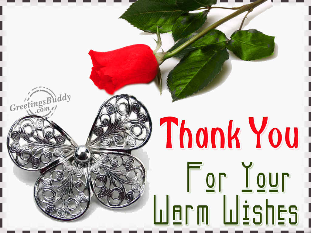 Thank You For Your Warm Wishes - GreetingsBuddy.com